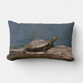 Gestreifte Schildkröte Lendenkissen