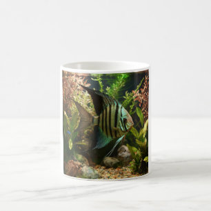 Gestreifter Altum-Segelflosser  Kaffeetasse