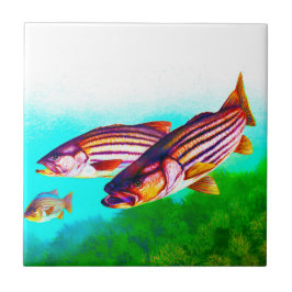 Gestreifter Bass-AtlantikStriper Fliese