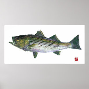 Gestreifter Baß Gyotaku offene Ausgabe Poster