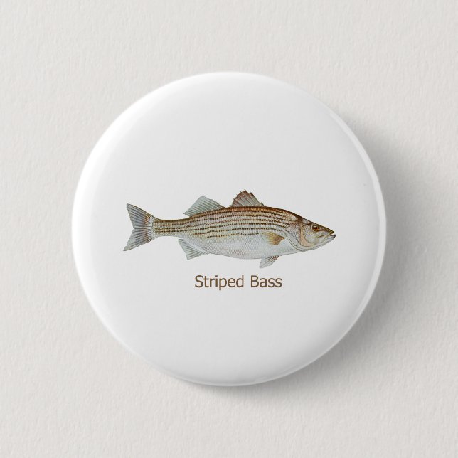Gestreifter Bass-Kunst (betitelt) Button (Vorderseite)