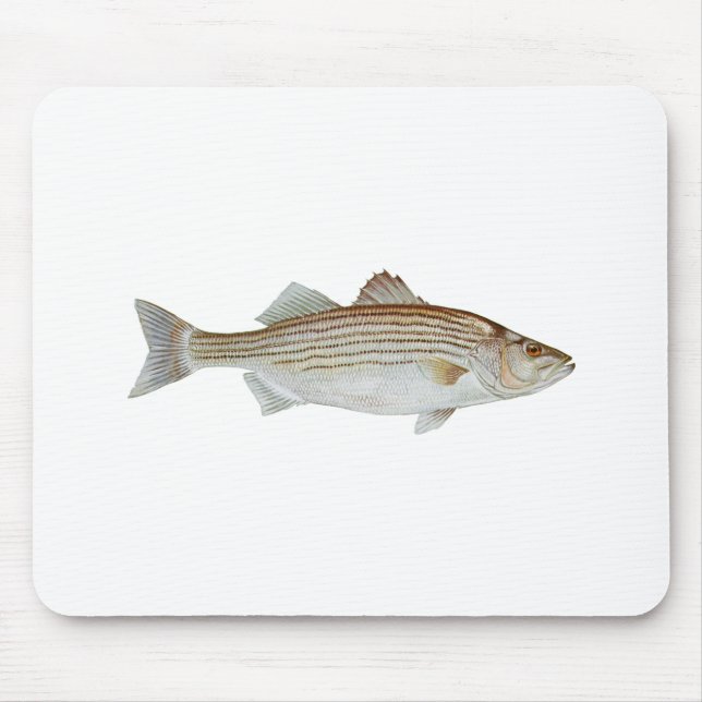 Gestreifter Bass-Kunst Mousepad (Vorne)