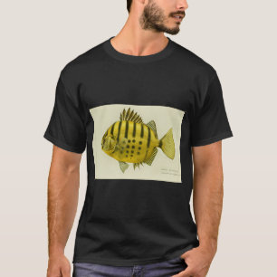Gestreifter Butterfisch T-Shirt
