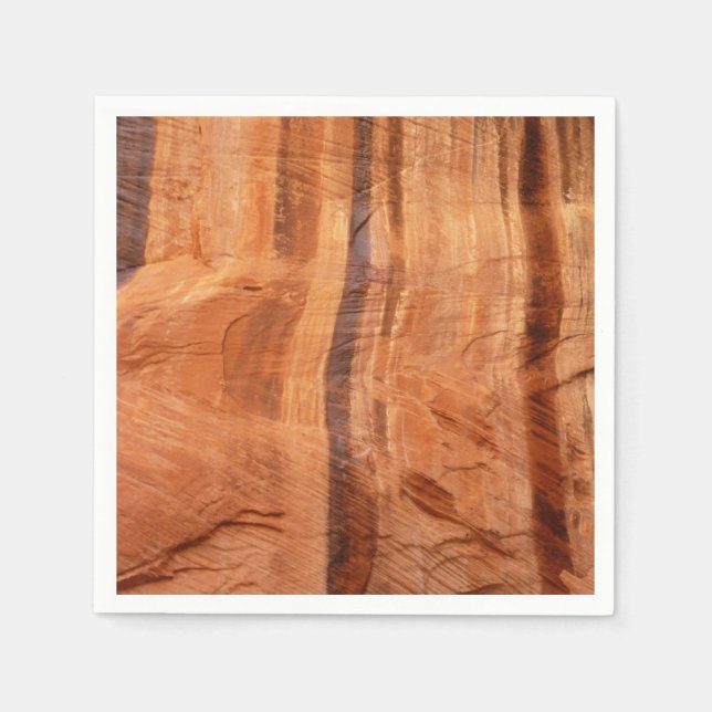 Gestreifter Felsen mit Doppelbogen Alcove II in Zi Serviette (Vorderseite)