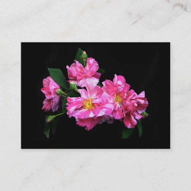 Gestreiftes Rose ATC Visitenkarte (Vorderseite)