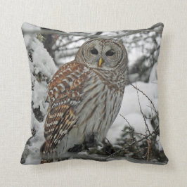 Gestrichene Eule Kissen