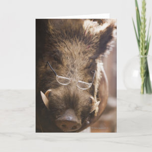 Gestütetes Wildschwein mit Brillen im Freien Karte