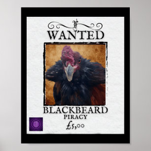 Gesucht Schwarzbart-Huhn Lustiger Piratenposter-En Poster