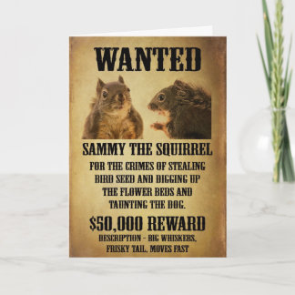 Gesuchtes Plakat mit Eichhörnchen Karte