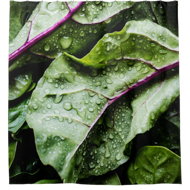 Gesunde Früchte Duschvorhang (Vorderseite)