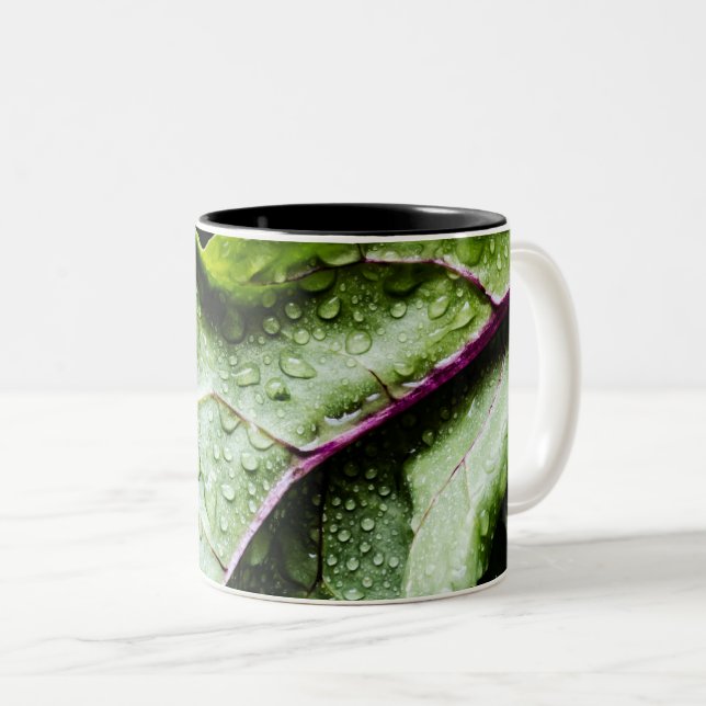 Gesunde Früchte Zweifarbige Tasse (VorderseiteRechts)