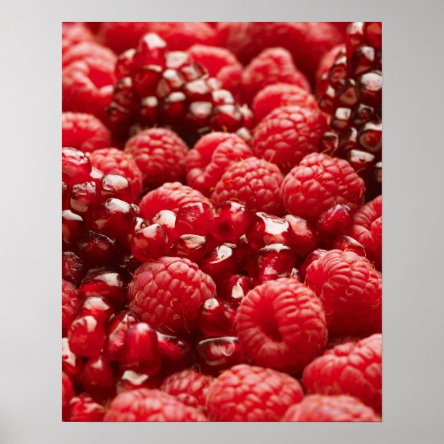 Gesunde und nahrhafte rote Beeren Poster (Vorne)
