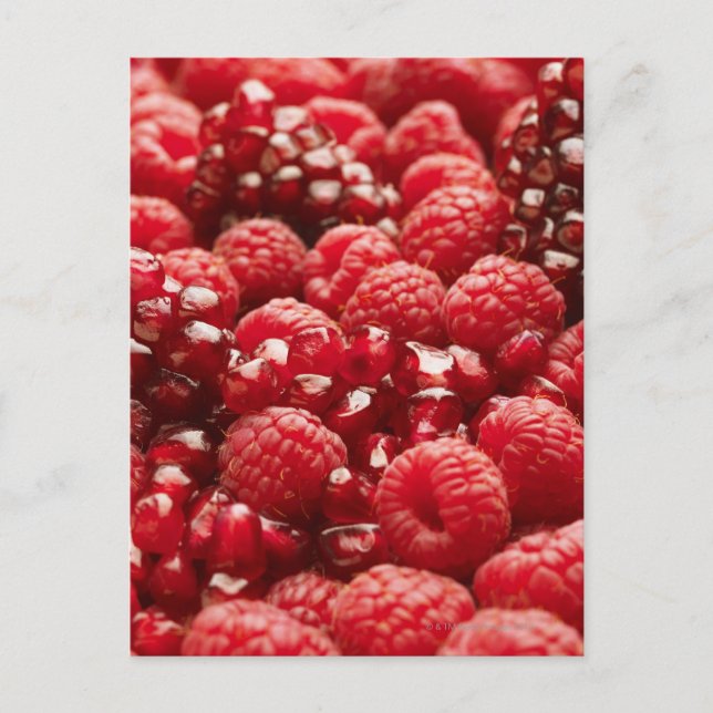 Gesunde und nahrhafte rote Beeren Postkarte (Vorderseite)