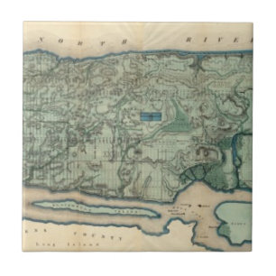 Gesundheitliche und topographische Karte von New Fliese