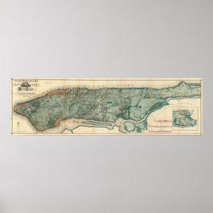 Gesundheitliche und topographische Karte von New Poster