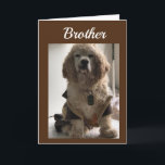 GET OUT & CELEBRATE YOUR DAY **BROTHER** CARD KARTE<br><div class="desc">THIS IS MY "16 1/2 YEAR OLD COCKER NAMED DAKOTA! HE LOVES POSING FOR MY CARDS!!!! THANKS FOR STOPPING BY ONE OF MY EIGHT STORES!!! REMEMBER - YOU CAN CHANGE THE 'AGE' AND 'VERSE' ON ALMOST ALL OF MY CARDS!!!!</div>
