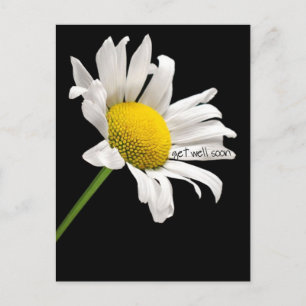 Get Well bald Daisy Postcard Postkarte