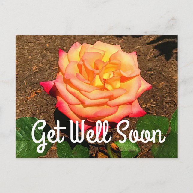 Get Well bald Dream Come True Rose #3 Postcard Postkarte (Vorderseite)