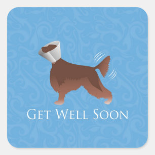 Get Well bald - Irish Setter Male Quadratischer Aufkleber