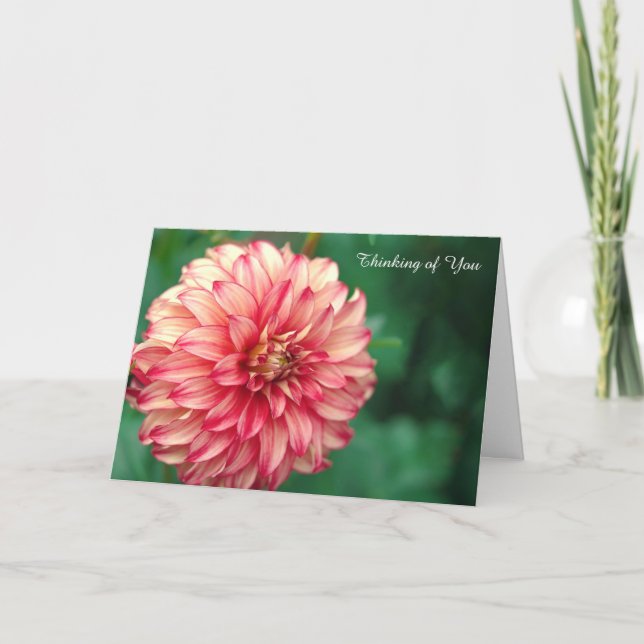 Get Well Card Karte (Vorderseite)