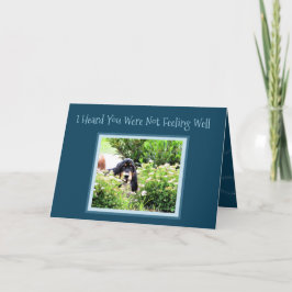 "Get Well" Card W/Cute Basset Hound Puppy Karte