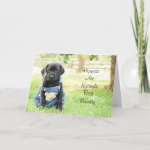 Get Well Card - Welpen sind die beste Lösung für d