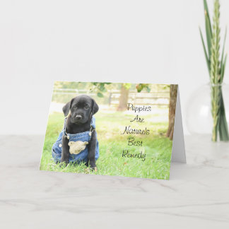 Get Well Card - Welpen sind die beste Lösung für d Karte