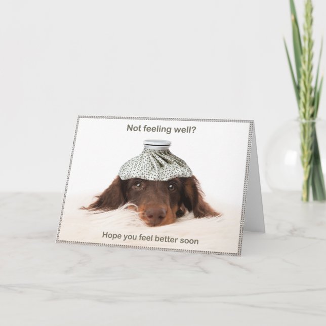 Get well card with a dachshund hound dog karte (Vorderseite)