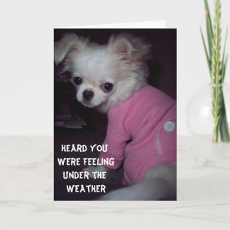 Get Well Puppy Card Karte