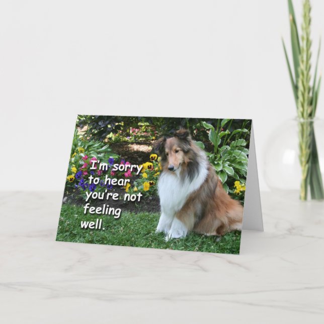 Get Well Sheltie Karte (Vorderseite)