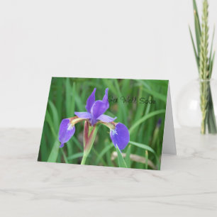 Get Well- Siberian Iris 2 Karte