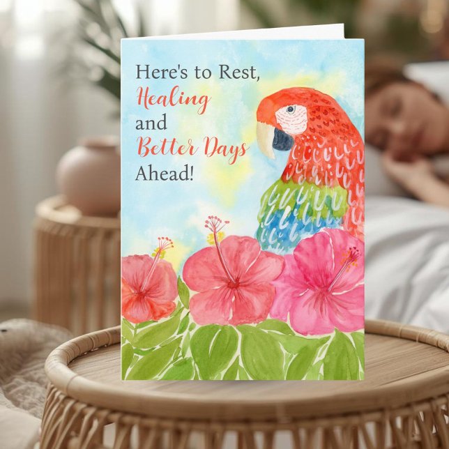 Get Well Soon with Scarlet Macaws and Hibiscus Karte (Von Creator hochgeladen)