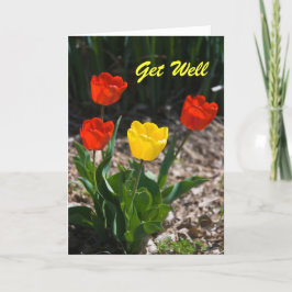 Get Well Tulips Card Karte