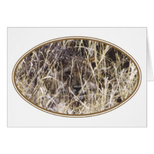 Getarntes Simba (Löwe)