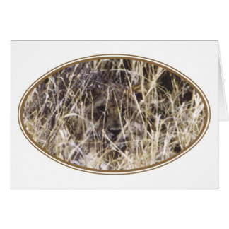 Getarntes Simba (Löwe)