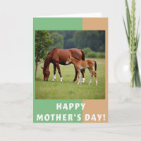 Geteilte Border Equine Karte