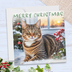 Getigelte Katze im Schnee Frohe Weihnachten