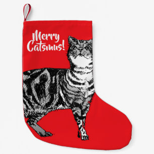 Getigerte Katze Frohe Catsmus Rote Weihnachtsstrum Kleiner Weihnachtsstrumpf