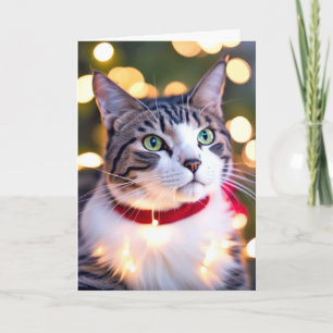 Getigerte Katze in festlichen Lichtern Feiertagskarte