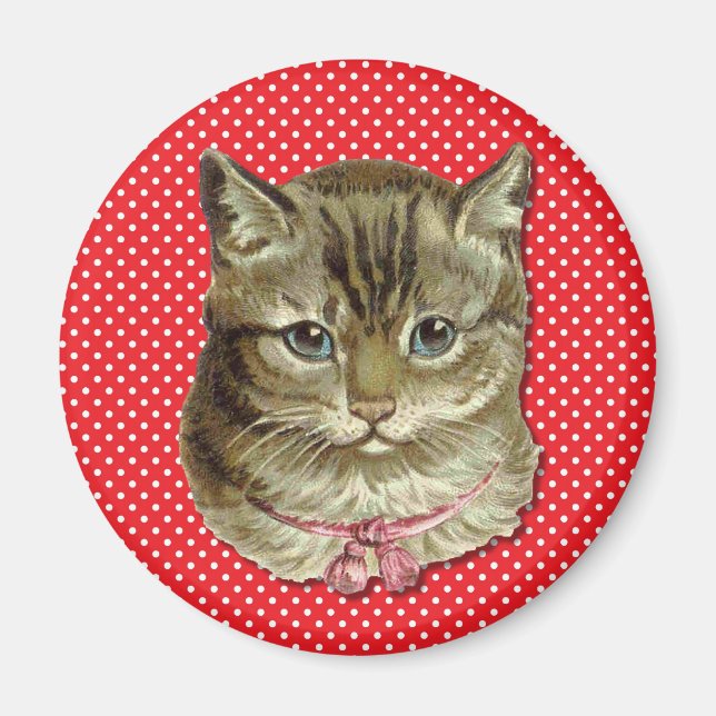 Getigerte Katze Magnet (Vorne)