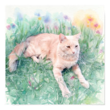 Getigerte Katze