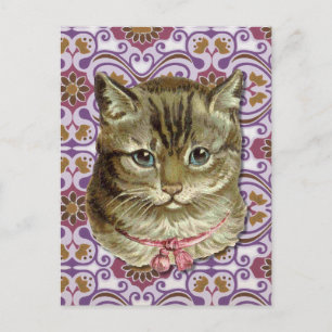 Getigerte Katze Postkarte