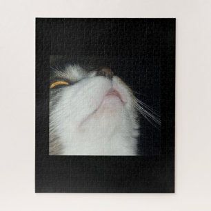 Getigerte Katze schaut hoch, Nahaufnahme vor schwa