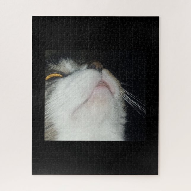Getigerte Katze schaut hoch, Nahaufnahme vor schwa (Vertikal)