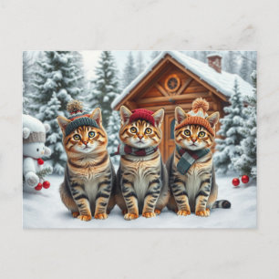 Getigerte Katzen in präparierter Winterkleidung un Feiertagspostkarte
