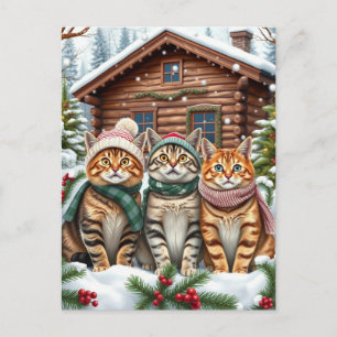 Getigerte Katzen in vornehmer Winterkleidung und H Feiertagspostkarte