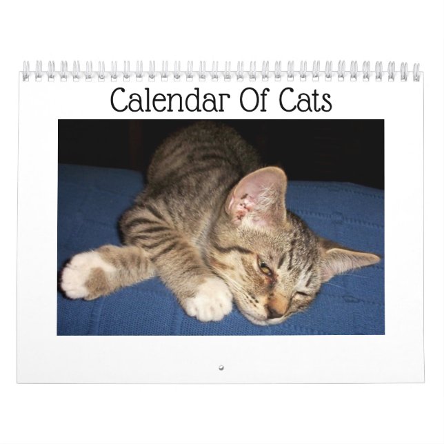 Getigerte Katzen Kalender (Titelbild)