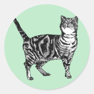 Getigerte Katzenaufkleber Mint Süße Katzen Haustie Runder Aufkleber