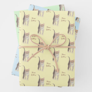 Getigerte Katzenbaby-Papierbögen zum individuellen Geschenkpapier Set