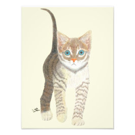 Getigerte Katzenjungen Poster